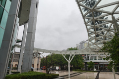 IMG20250424142949